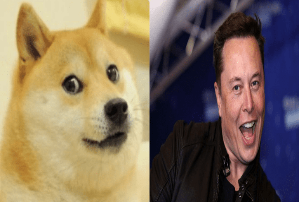 What are Hydrogen cars? Elon Musk’s biggest rival?