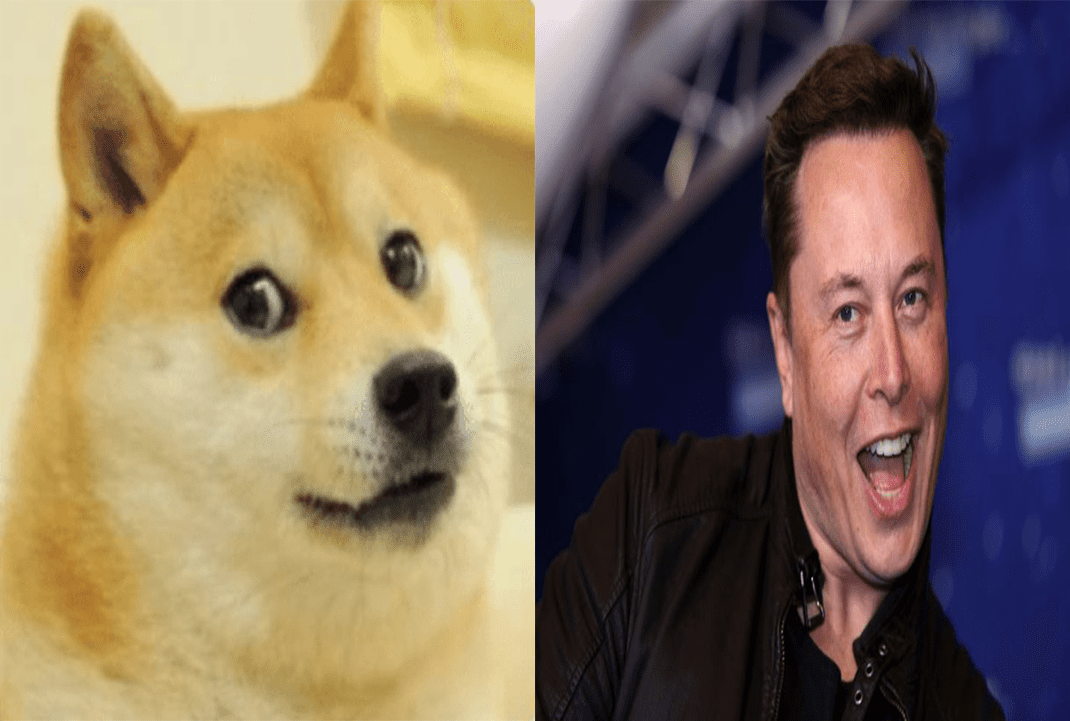 dogefather